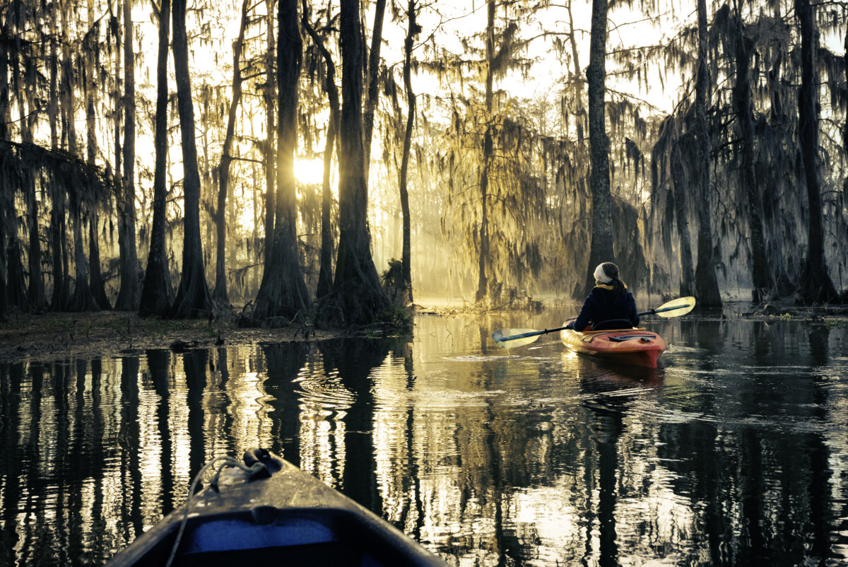 Kayaking through Florida swamp