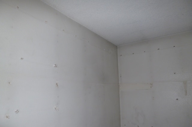 What Are These Black Stains On The Walls Understanding Ghosting