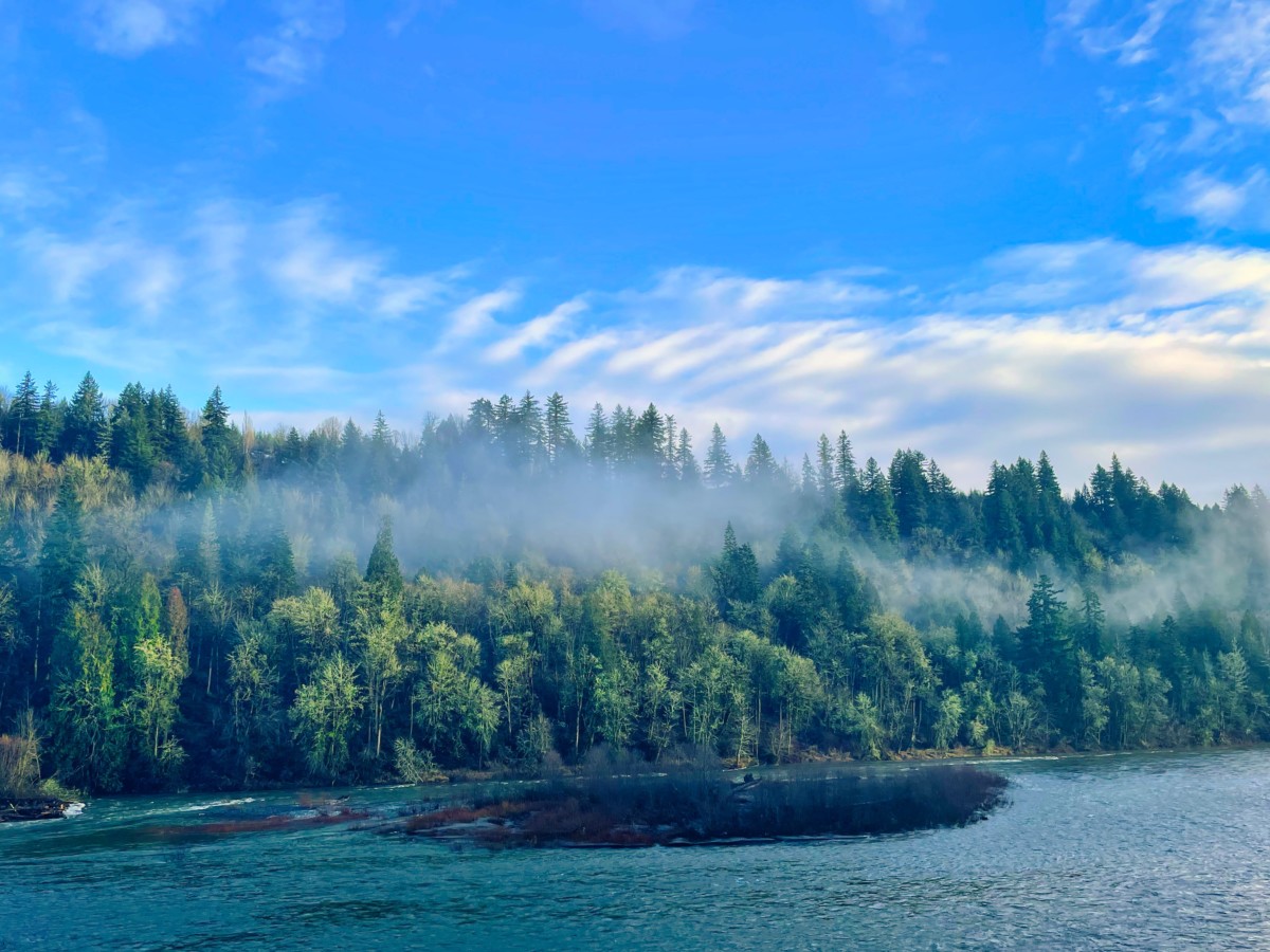 oxbow regional park in gresham oregon with clouds and trees on the shoreline