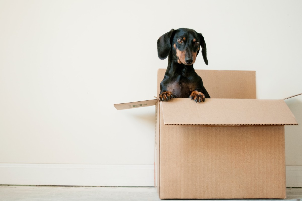 New House Checklist - Moving Boxes