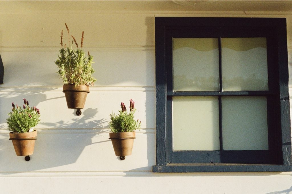 Blue wooden window frame next to flower pots