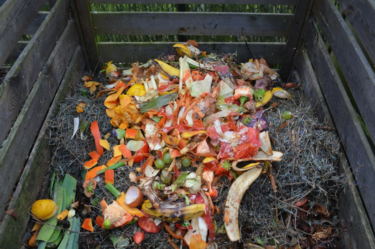 compost-in-an-apartment-5