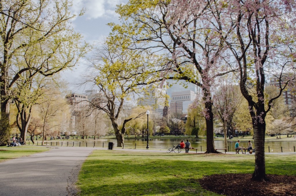 a beautiful park in Boston