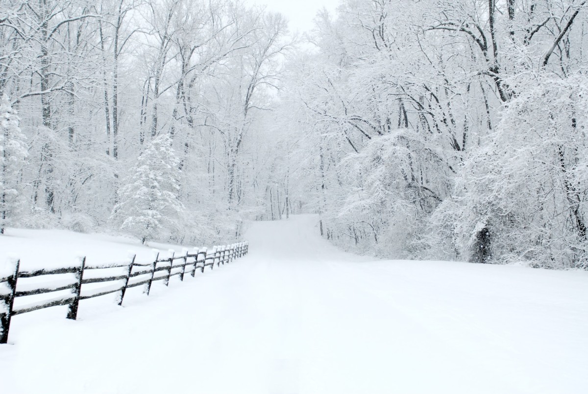 Chester County Pennsylvania snowy field