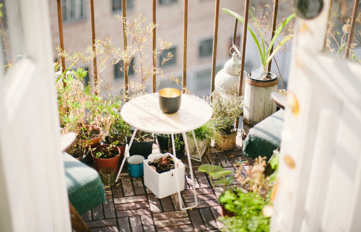 a patio with plants