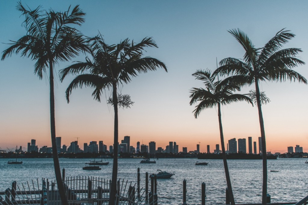 florida skyline at sunset with palm trees and ocean