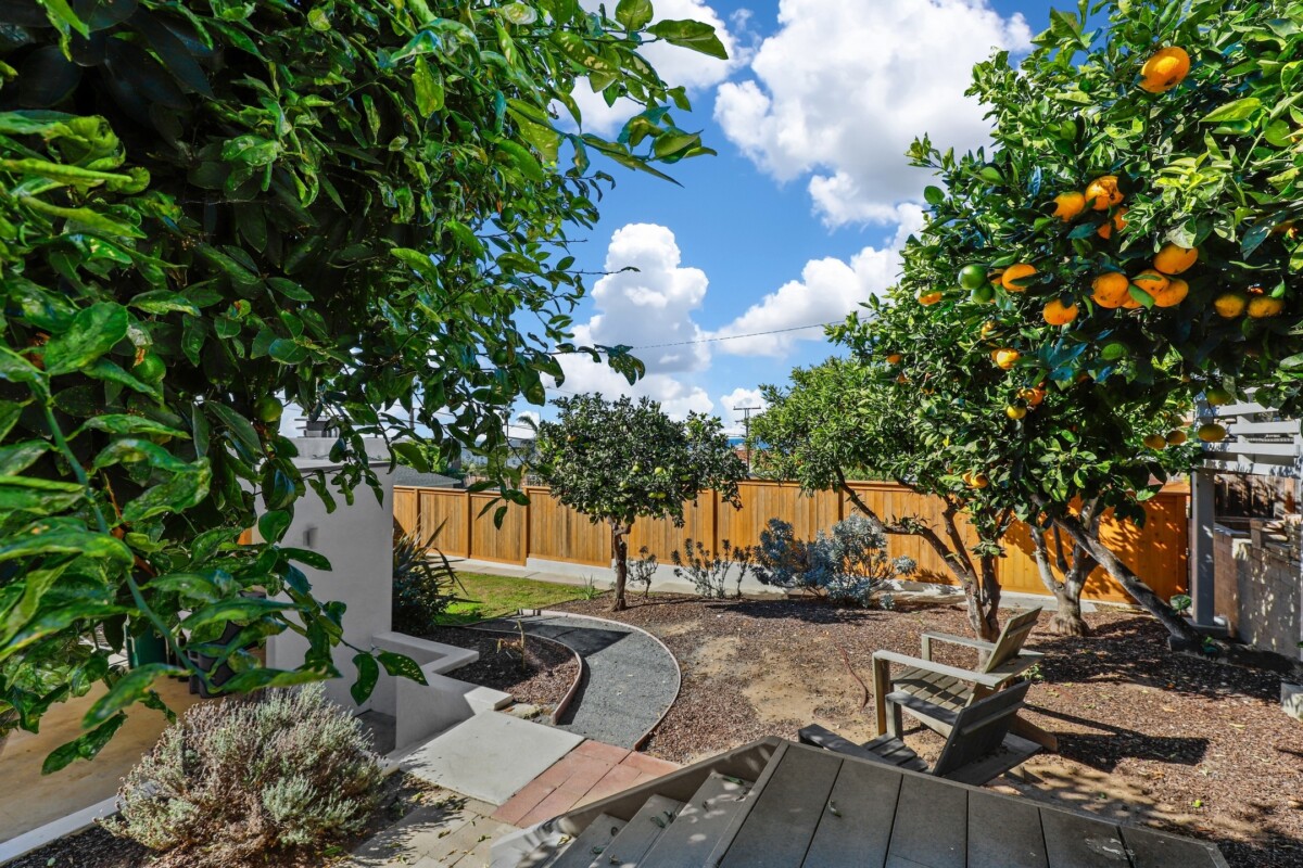 backyard with fruit trees