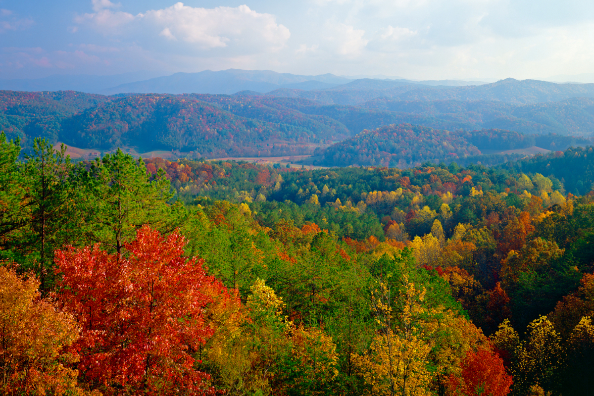 Smoky Mountains during Autumn