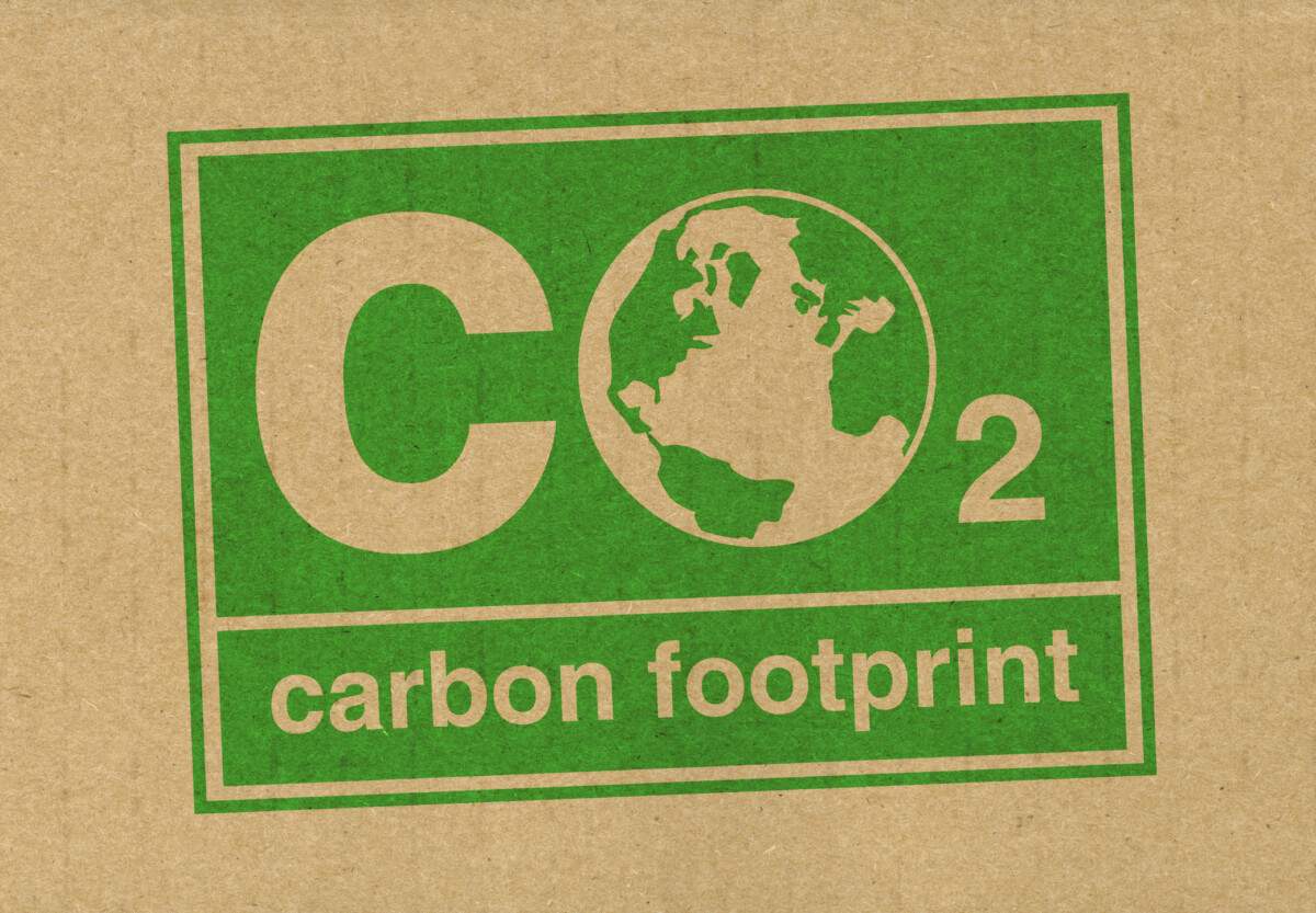 how-to-reduce-your-carbon-footprint-1