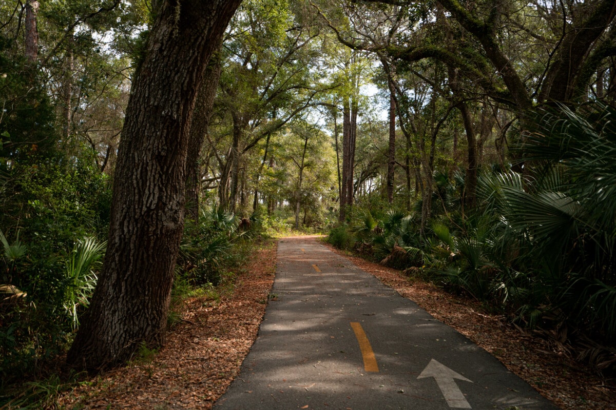 Roadway through a park in nature. Outdoor winter shots of Jacksonville, Florida in the daytime.